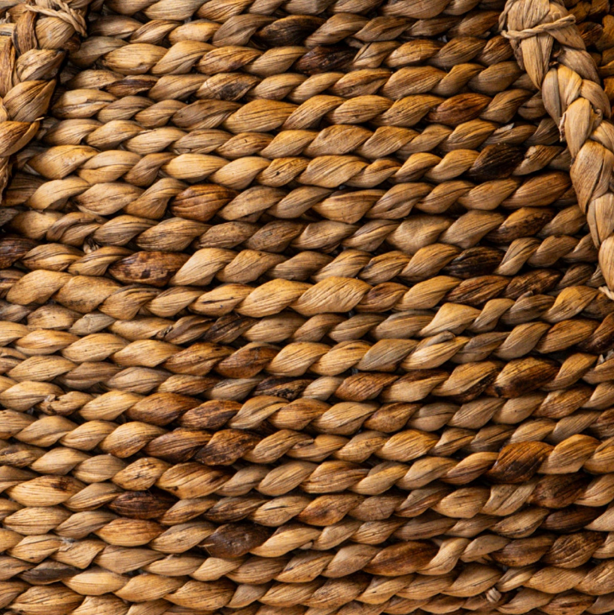 Cesta natural de hierba marina Randye Taps PTMD