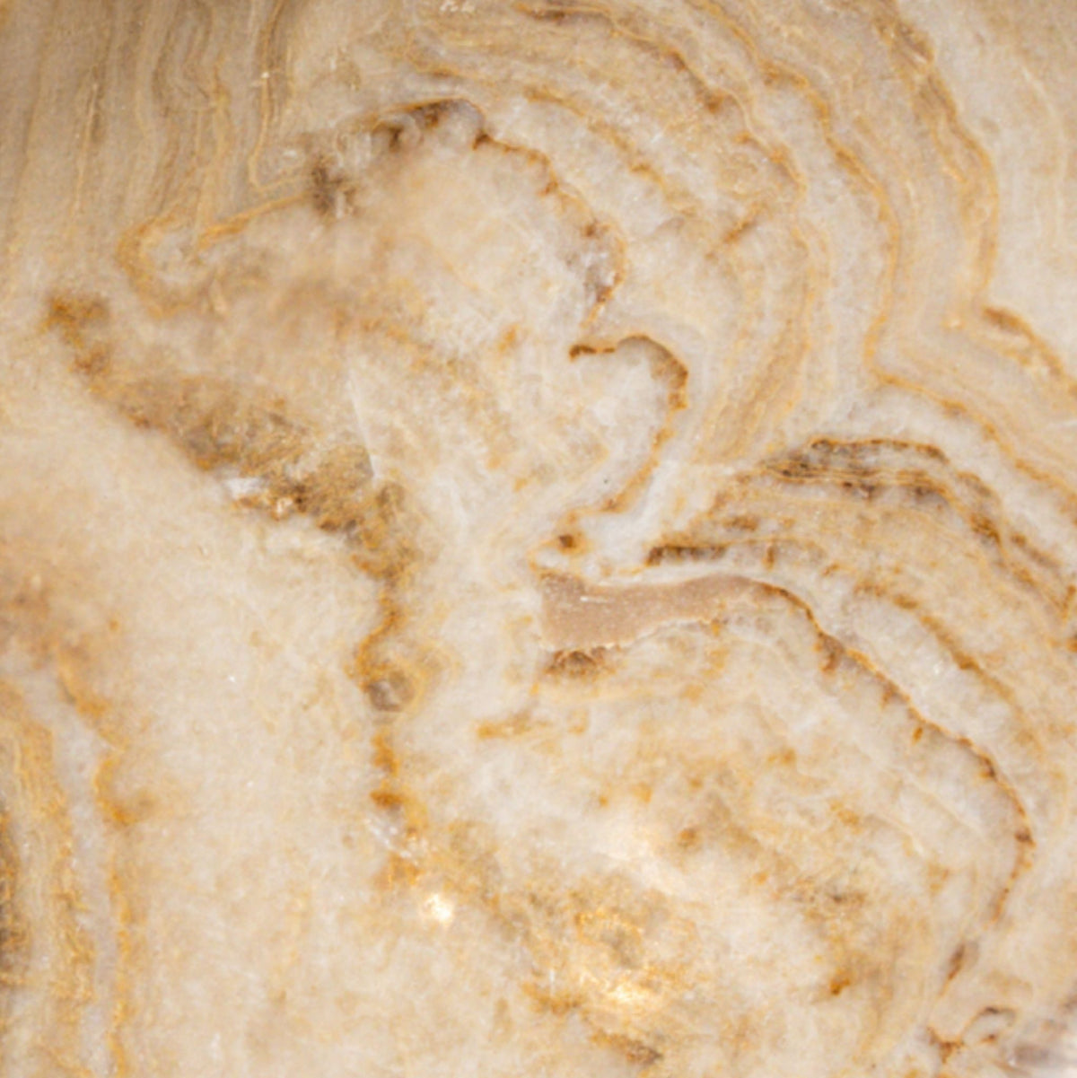 Draya Onyx Blanco Cuenco Orgánico Redondo Grande PTMD