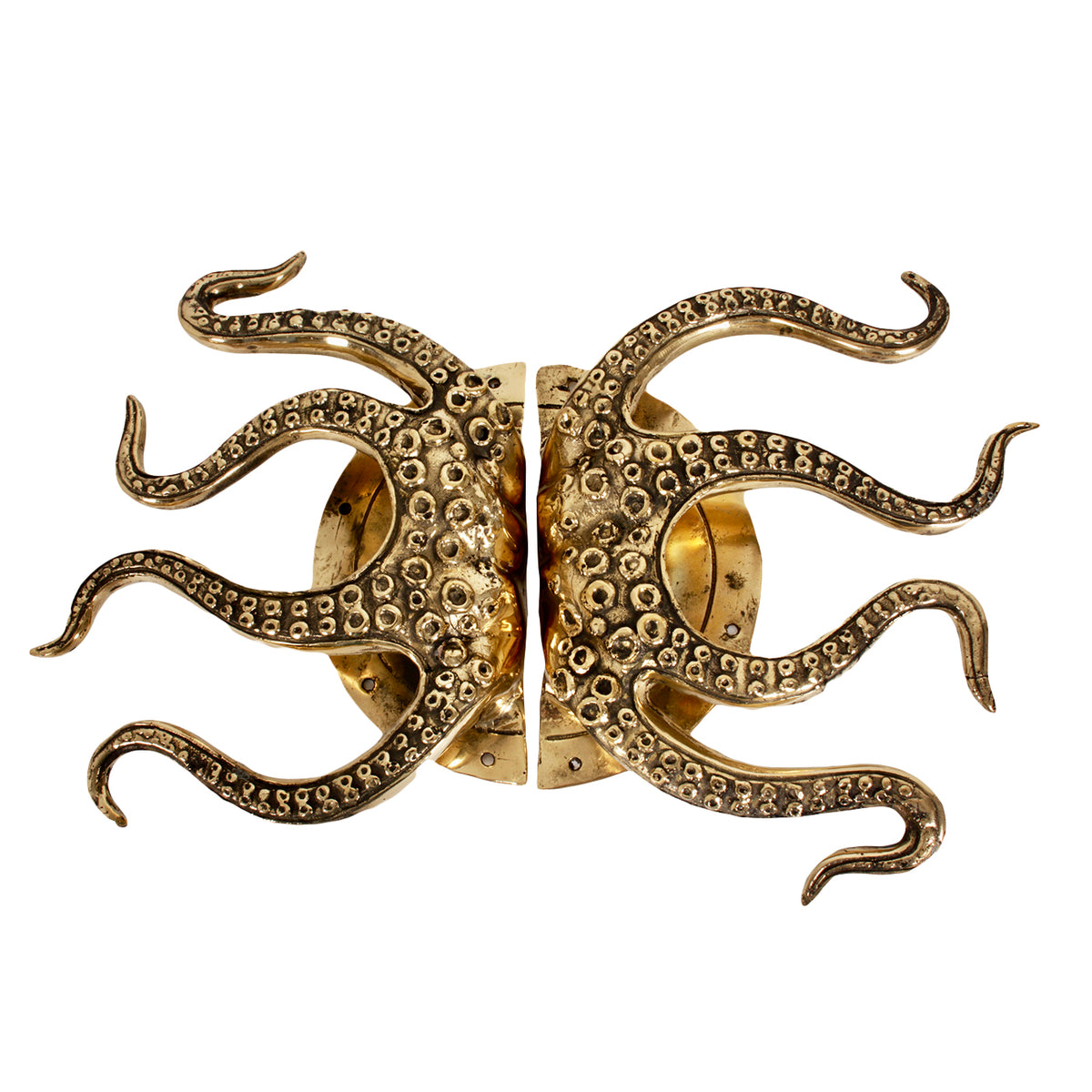 Conjunto único de pomos de puerta de latón Octopus de Pole a Pole