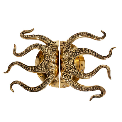 Conjunto único de pomos de puerta de latón Octopus de Pole a Pole