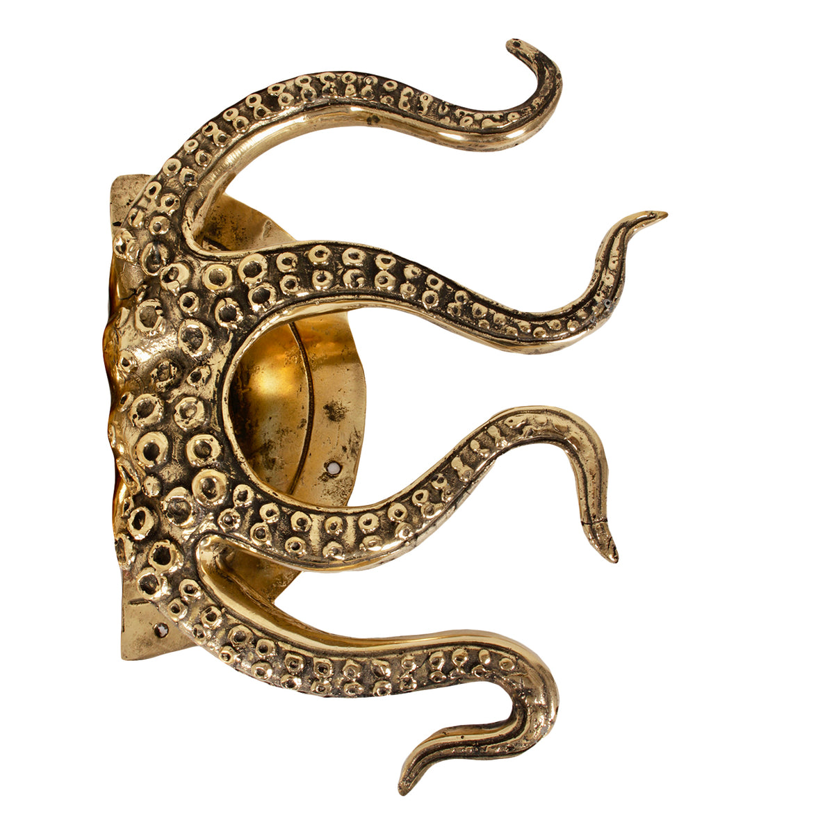 Conjunto único de pomos de puerta de latón Octopus de Pole a Pole