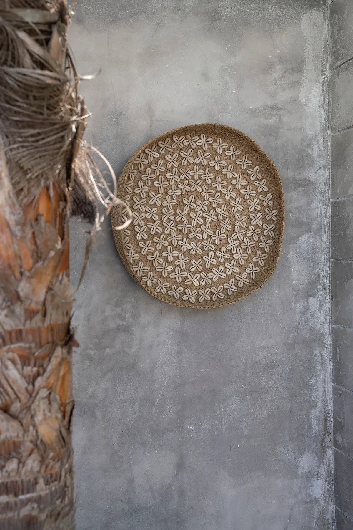 El plato Costa Shell - Blanco natural - M