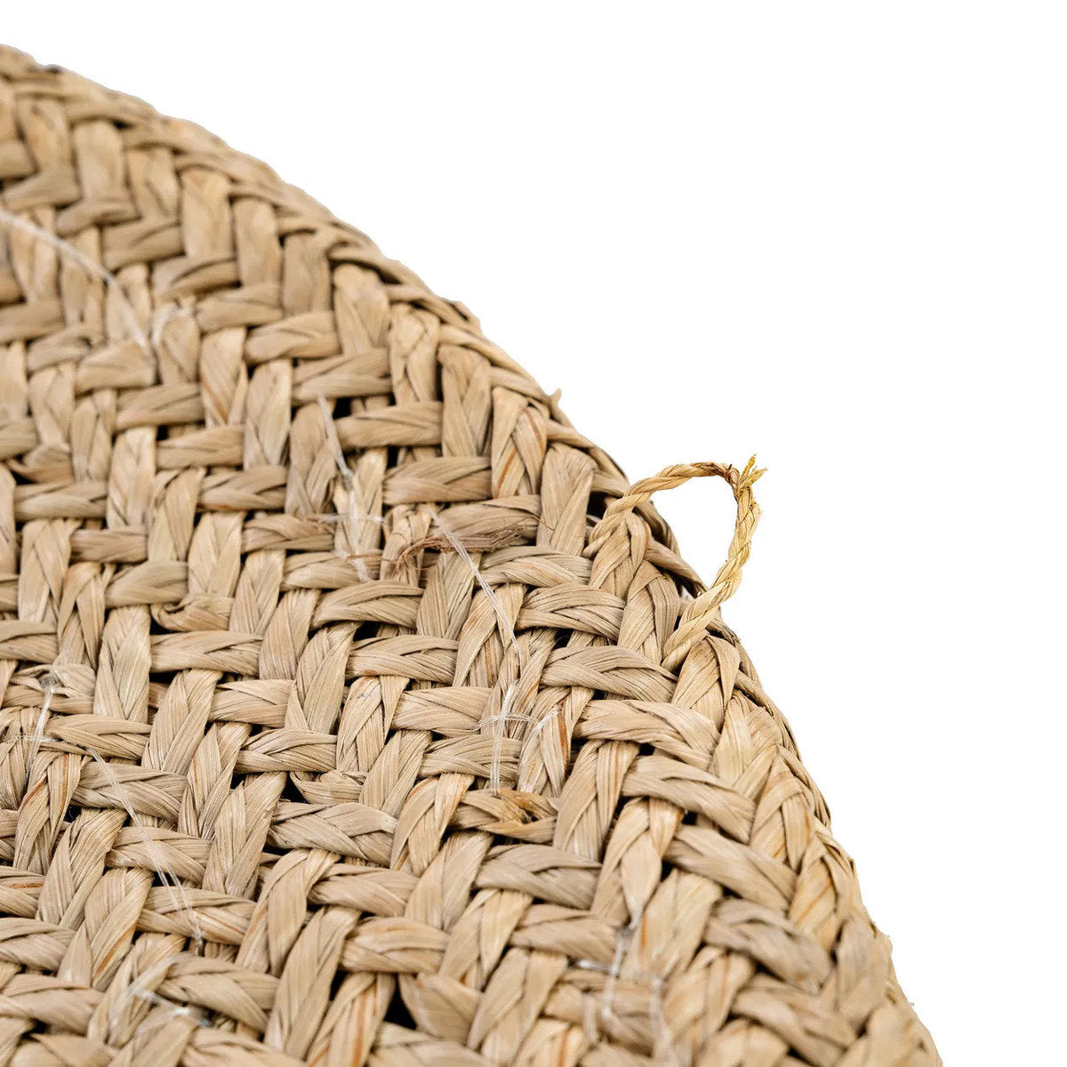 El plato Costa Shell - Blanco natural - M
