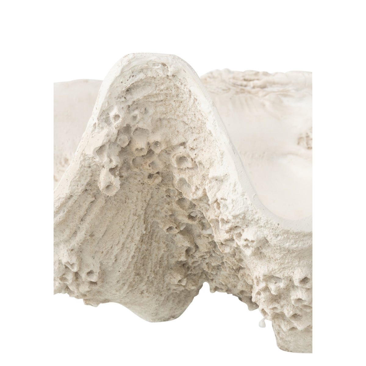 Plato decorativo con concha de mar de resina, blanco roto, grande, J-Line