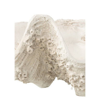 Plato decorativo con concha de mar de resina, blanco roto, grande, J-Line