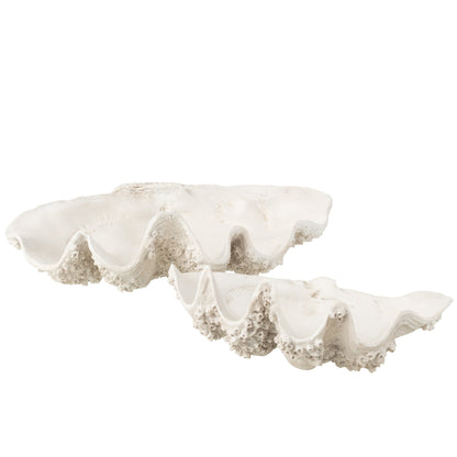Plato decorativo con concha de mar de resina, blanco roto, grande, J-Line