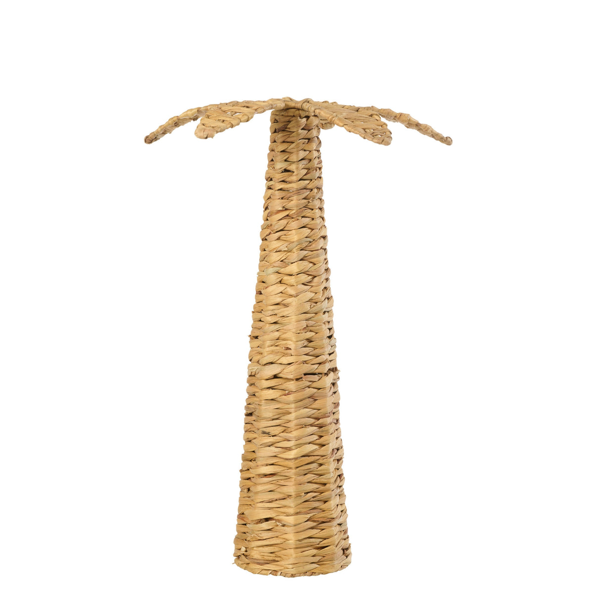 Palmera Jacinto de agua Natural Grande J-Line
