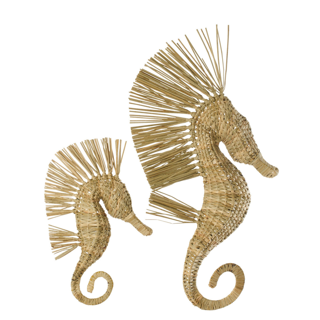Objeto decorativo de pared Caballo de mar Hierba Natural Grande J-Line