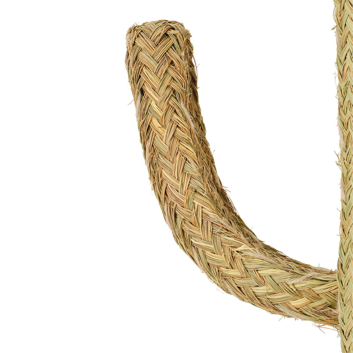 Hierba de Cactus Natural Extra Grande J-Line