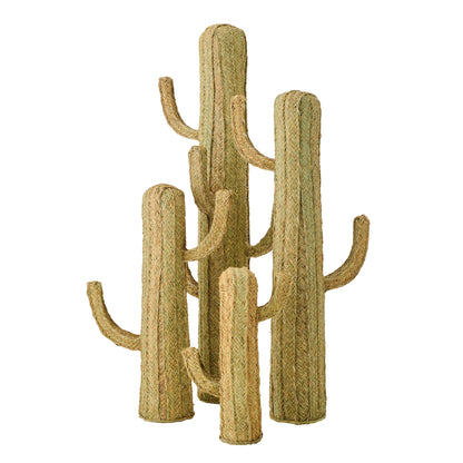 Hierba Cactus Natural Grande J-Line