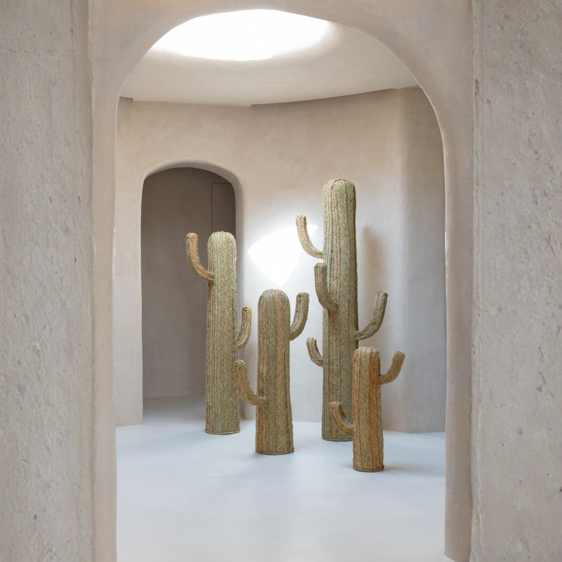 Hierba de Cactus Natural Extra Grande J-Line