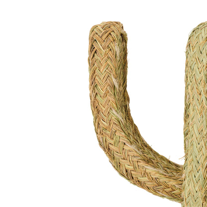 Hierba Cactus Natural Grande J-Line