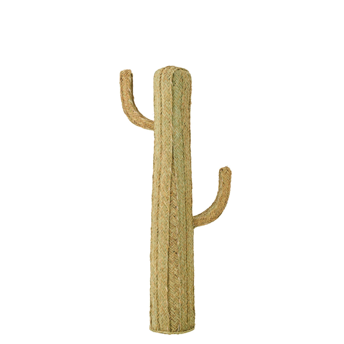 Hierba Cactus Natural Grande J-Line