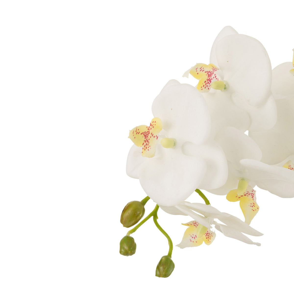 Orquídea En Tierra Plástico Blanco/Verde Grande 32x32x75cm