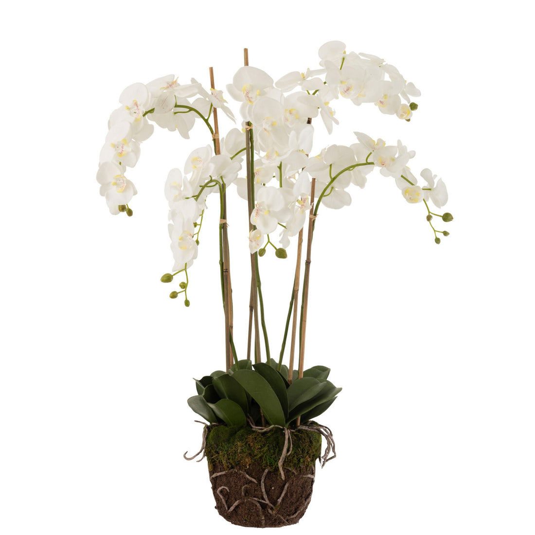 Orquídea En Tierra Plástico Blanco/Verde Extra Grande L60cmb53cmh104cm