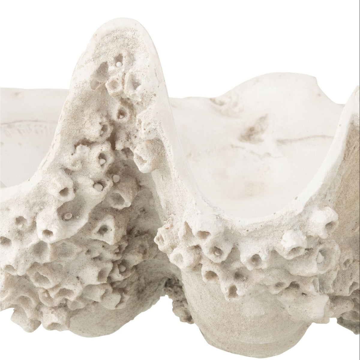 Plato decorativo con concha de mar de resina, blanco roto, pequeño, J-Line