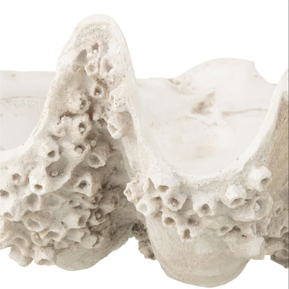 Plato decorativo con concha de mar de resina, blanco roto, pequeño, J-Line