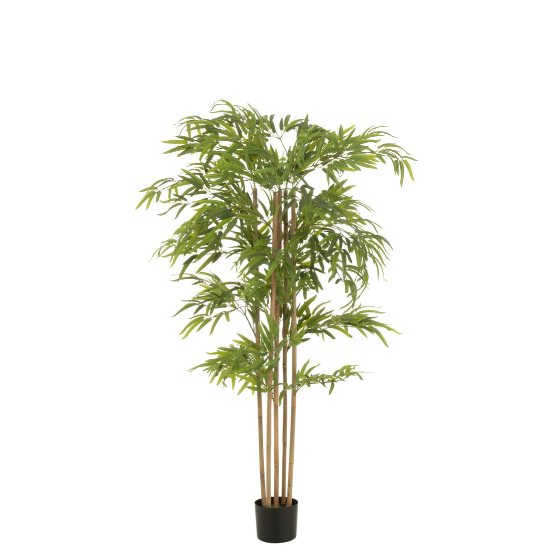 Bambú en Maceta de Plástico Verde H150cm J-Line