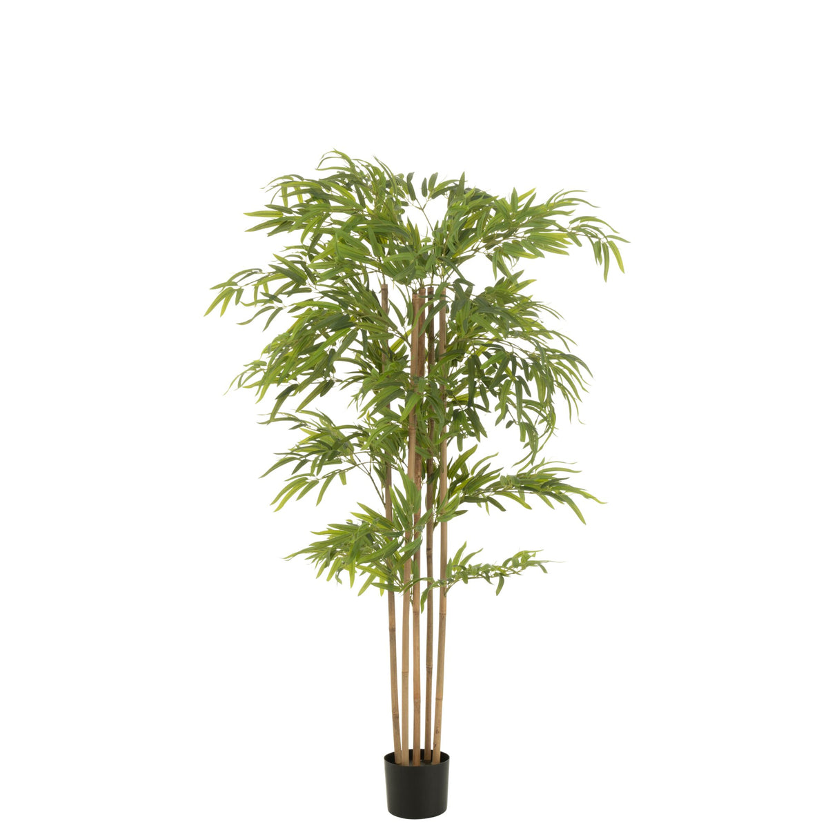 Bambú en Maceta de Plástico Verde H150cm J-Line