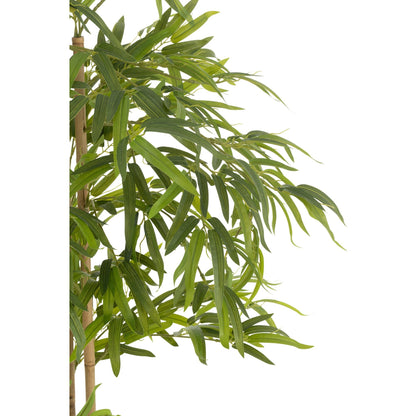 Bambú en Maceta de Plástico Verde H150cm J-Line