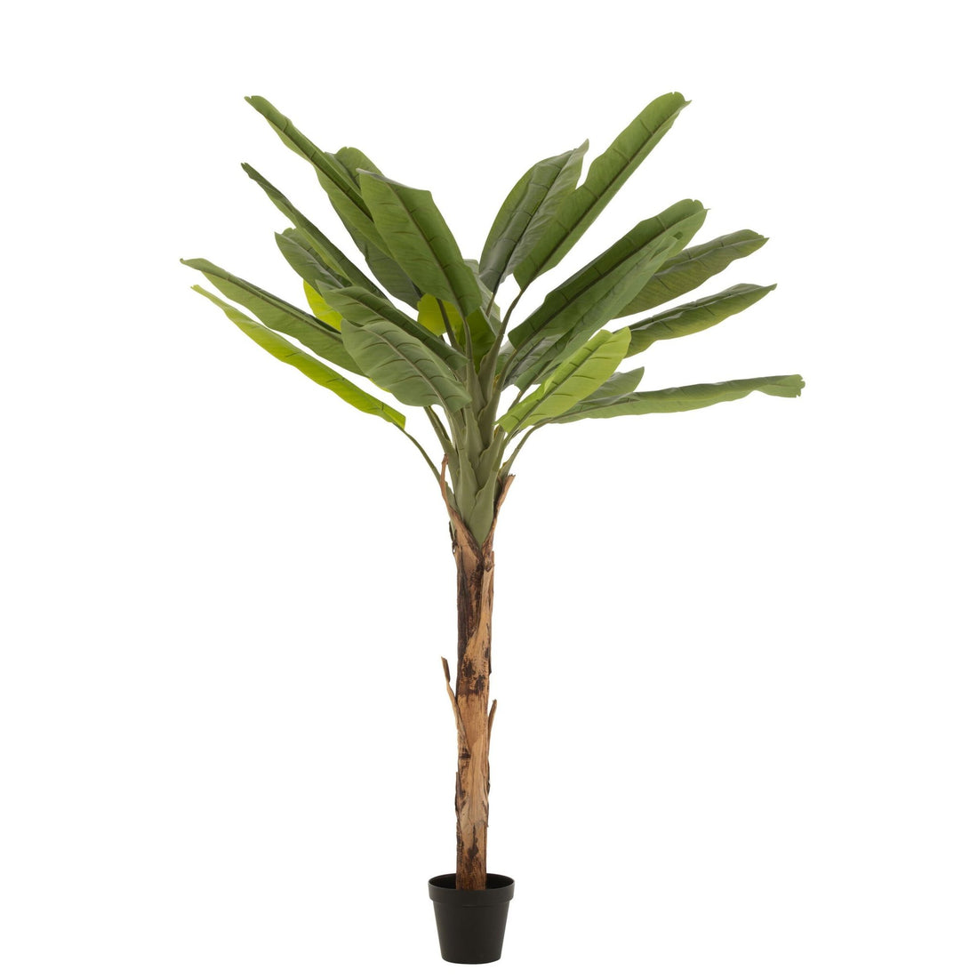 Platanero Artificial Verde/Marrón H250cm J-Line
