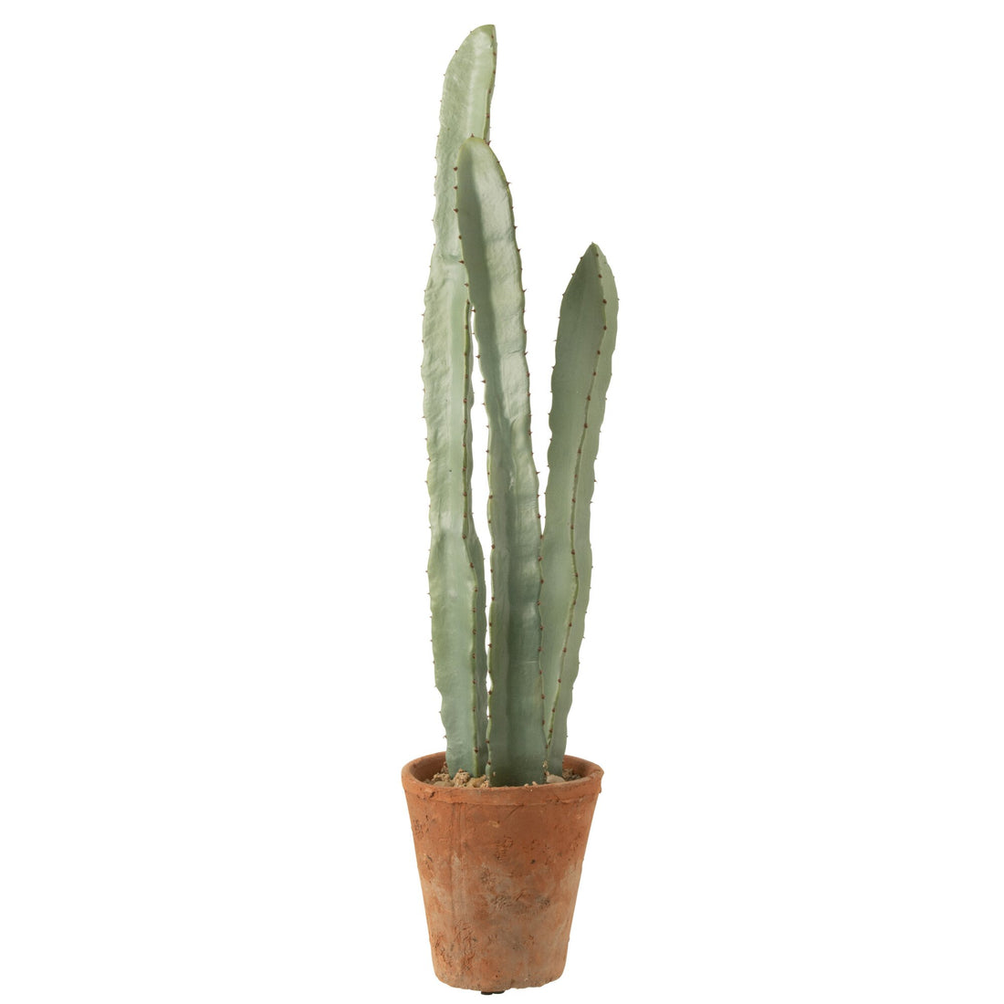 Cactus en Maceta de Plástico Verde Grande Set de 3