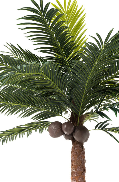 Palmera Con 4 Cocos En Maceta Plástico Verde H350cm J-Line