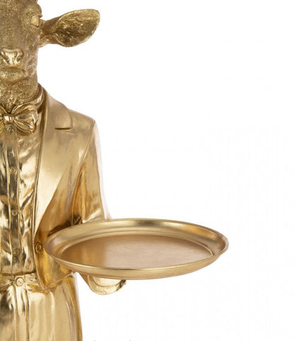 Ciervo Ober Platea Polí Gold H194cm J-Line