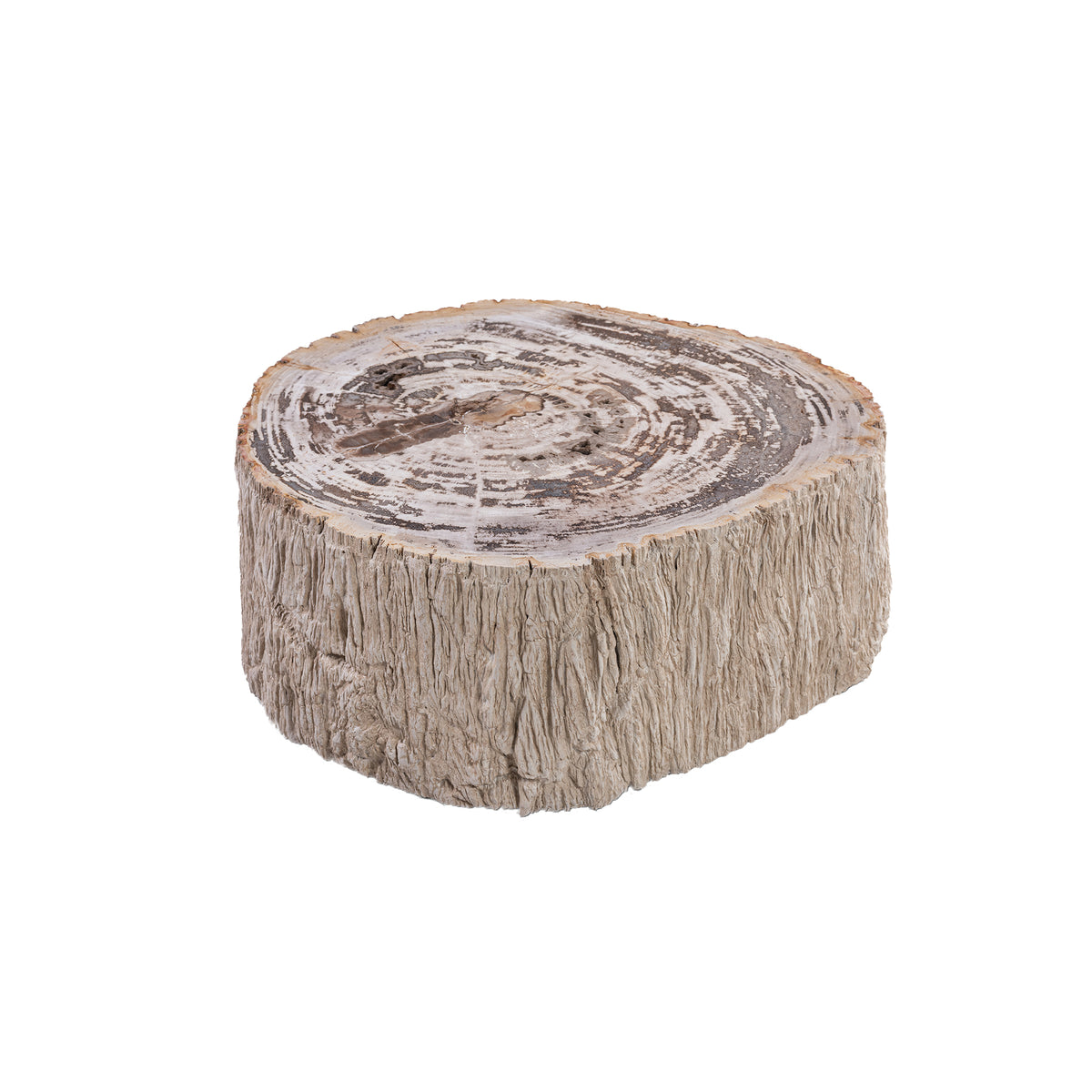 Taly Koffietafel Small van PTMD, lage salontafel van versteend hout in naturel op witte achtergrond